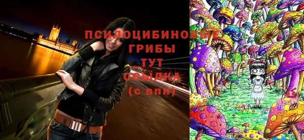 бошки Баксан