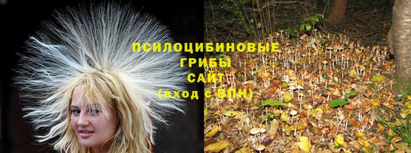 бошки Баксан