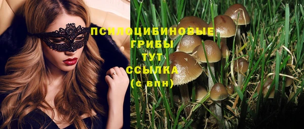 дмт Балабаново